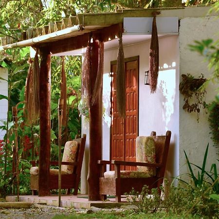 Casa A Beira Do Rio Jaguareguava Na Mata Atlantica Em Bertioga Sp Villa Luaran gambar