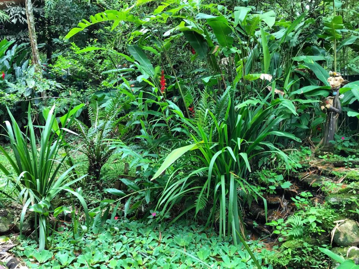 Casa A Beira Do Rio Jaguareguava Na Mata Atlantica Em Bertioga Sp Villa Luaran gambar