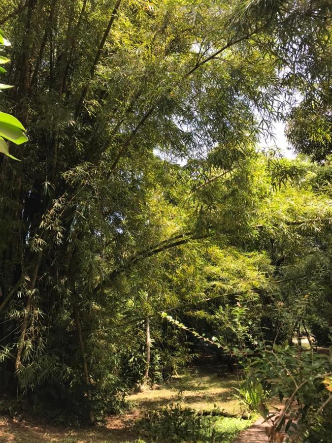 Casa A Beira Do Rio Jaguareguava Na Mata Atlantica Em Bertioga Sp Villa Luaran gambar
