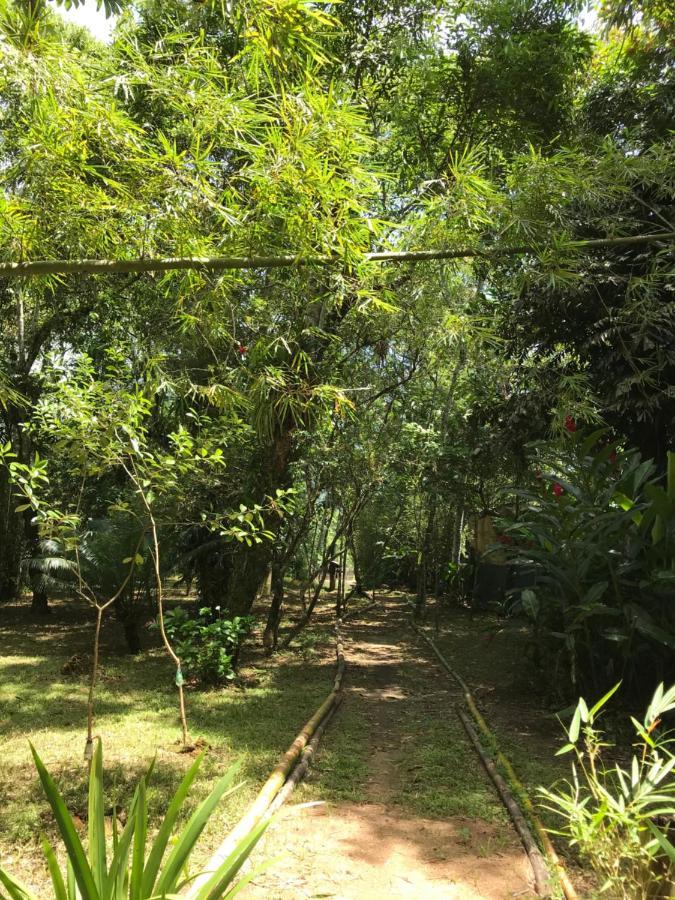 Casa A Beira Do Rio Jaguareguava Na Mata Atlantica Em Bertioga Sp Villa Luaran gambar