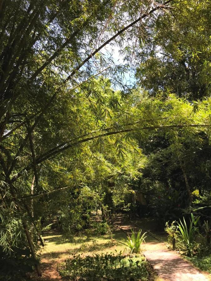 Casa A Beira Do Rio Jaguareguava Na Mata Atlantica Em Bertioga Sp Villa Luaran gambar